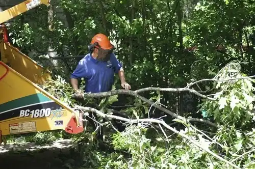 tree services Millington